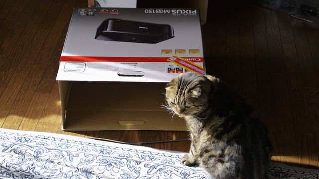 c0133096_20324629.jpg