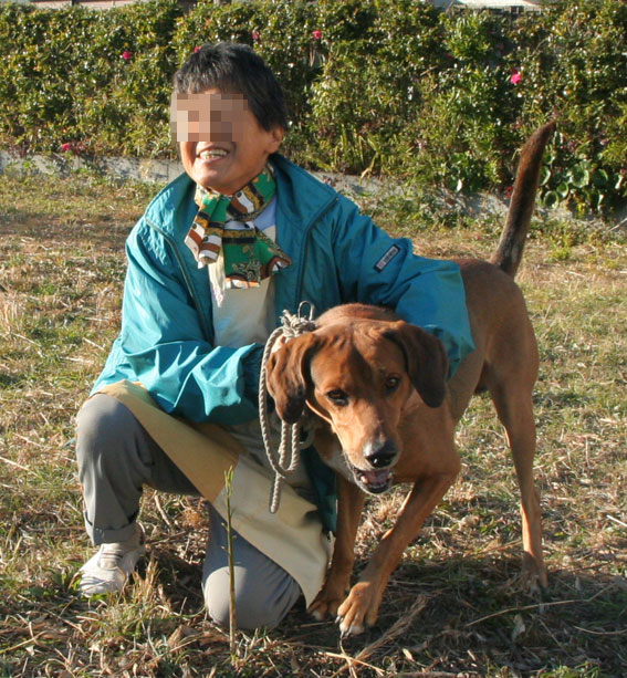 猟犬ビー君の里親様募集中!_d0071596_20395632.jpg