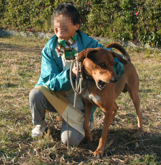 猟犬ビー君の里親様募集中!_d0071596_2040749.jpg