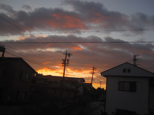 a0145798_1984679.jpg