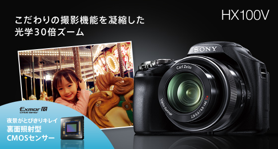 SONY DSC-HX100V ネオ一眼_d0063599_12283052.jpg