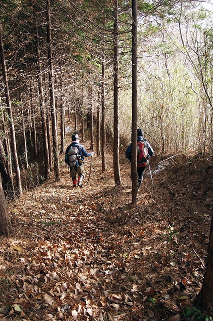 e0137200_20385890.jpg