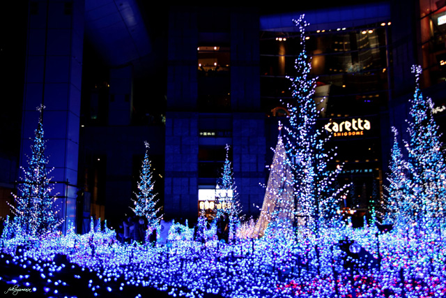 Blue Forest ～caretta SHIODOME～_f0185802_220471.jpg