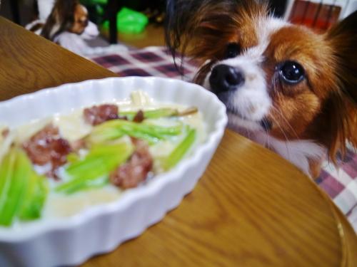 ほうれん草・牛肉の　豆乳パスタ☆(^_-)-☆_b0243804_20115465.jpg