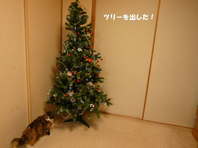 e0094407_192539.jpg