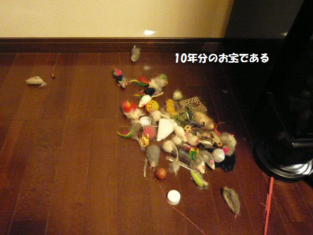 e0094407_19413347.jpg