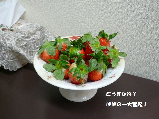 e0094407_20102246.jpg