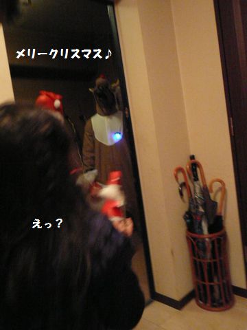 e0094407_20323447.jpg