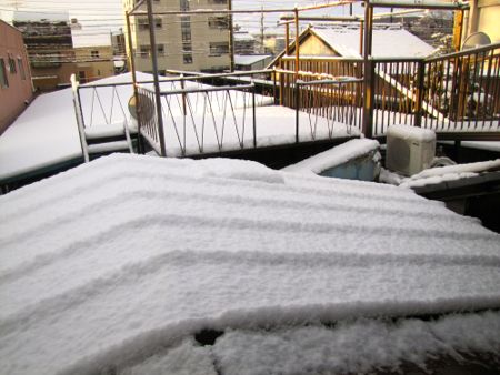 昨夜からの雪・・『白銀の世界』の朝26日_b0051109_1014720.jpg