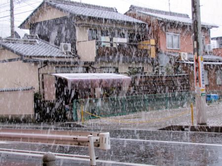 昨夜からの雪・・『白銀の世界』の朝26日_b0051109_9534546.jpg