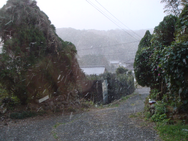 d0237309_01175.jpg