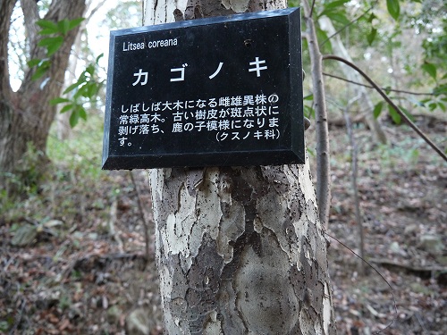 イノシシの捕獲を行っています!_f0223914_16564467.jpg