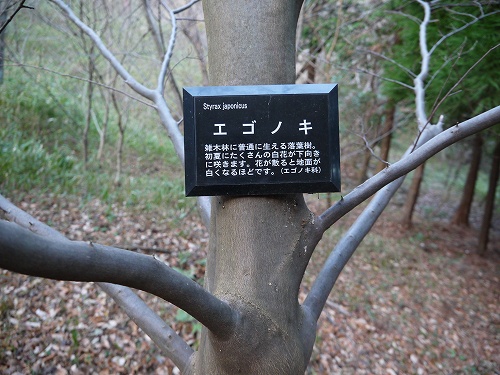イノシシの捕獲を行っています!_f0223914_16565233.jpg