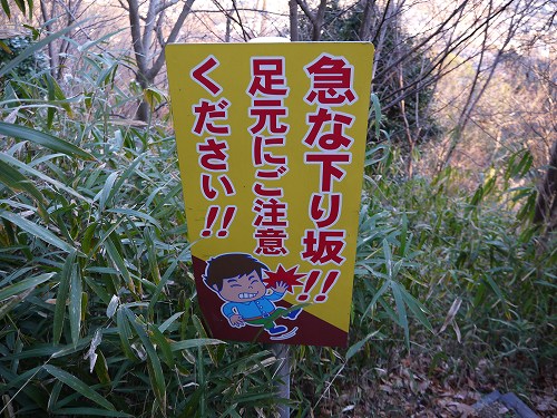 イノシシの捕獲を行っています!_f0223914_1742421.jpg