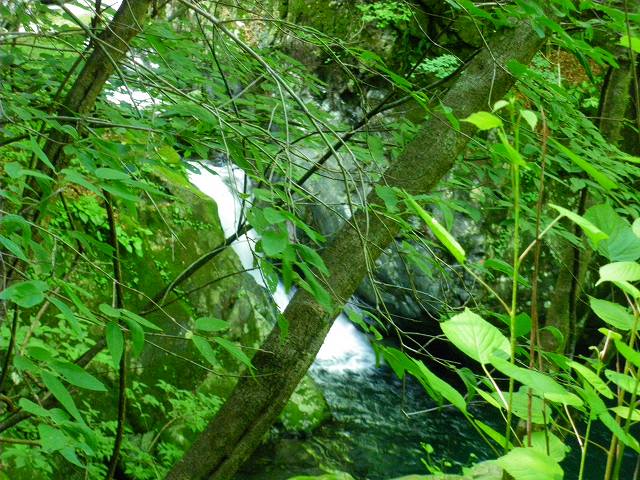 a0243317_9553663.jpg