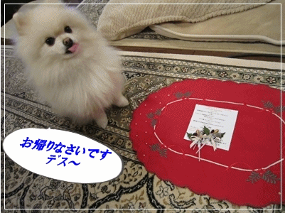 b0167519_9234823.gif