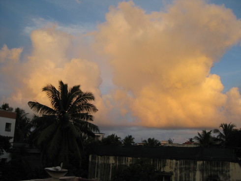 c0137328_11582259.jpg