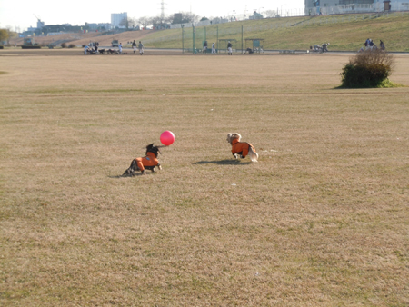 c0117831_22434296.jpg