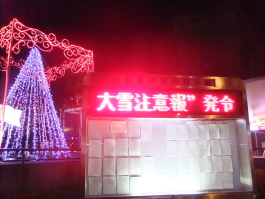 d0178432_16191630.jpg