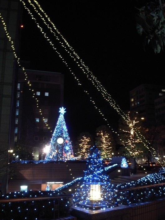 d0178432_16224040.jpg