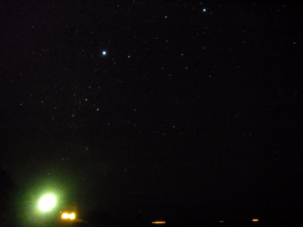 e0089232_2203296.jpg