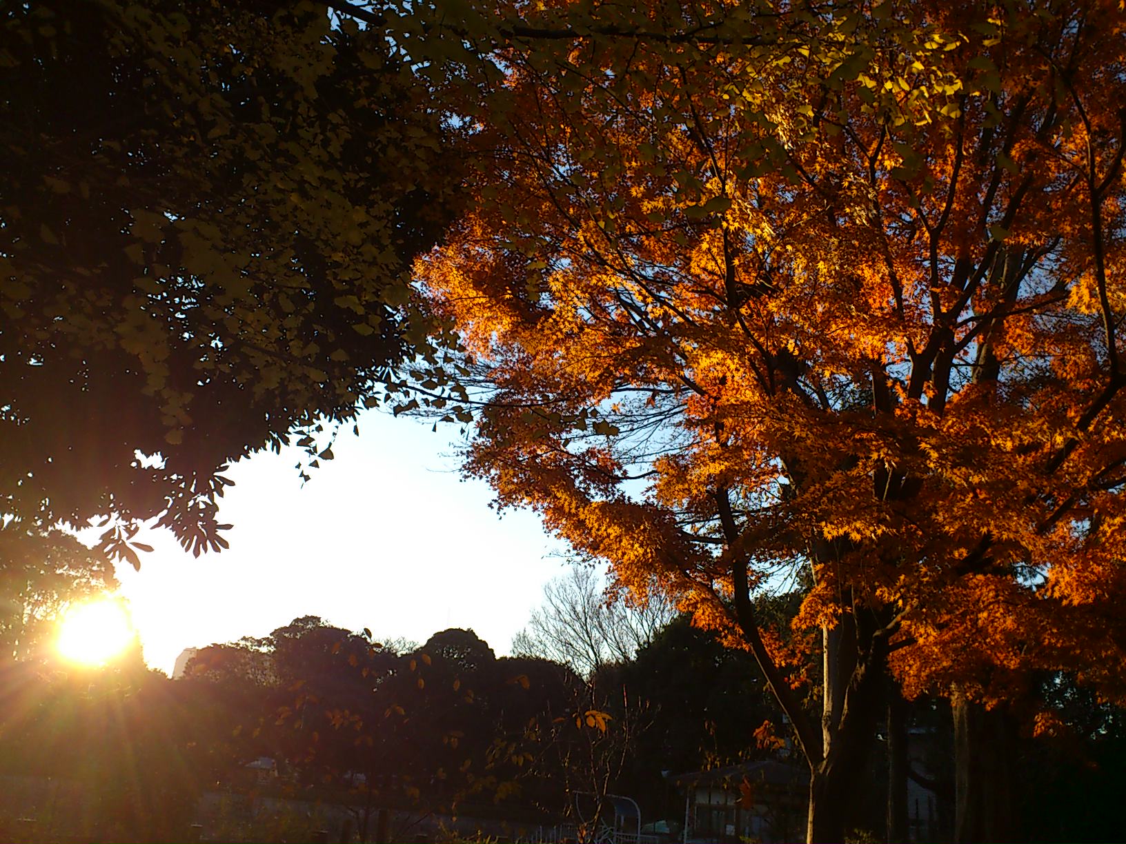 カウントダウン2011年末_e0059834_10304892.jpg