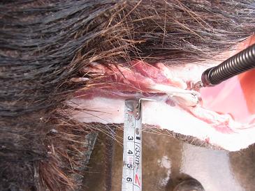e0007935_2011864.jpg