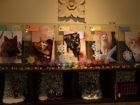 『ゆきねこ写真展』ダイジェスト編。_a0143140_23553820.jpg