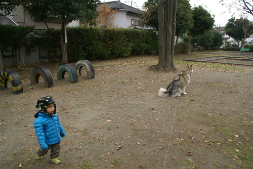 やまちゃんねる家の年賀状_e0143442_22581926.jpg