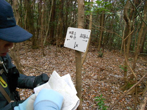 篠栗秘境縦走　畝原山～鉾立山～菅嶽～三ッ頭山～飯盛山_a0206345_1715792.jpg