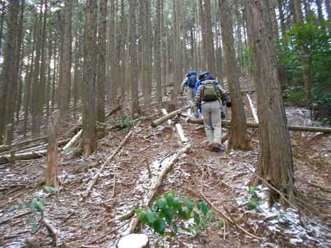 篠栗秘境縦走　畝原山～鉾立山～菅嶽～三ッ頭山～飯盛山_a0206345_17281499.jpg