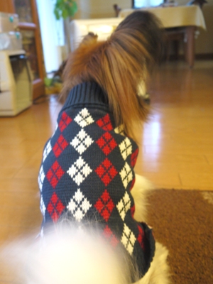 e0100046_21272117.jpg