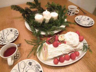 クリスマスケーキ　2011_e0105846_1649323.jpg