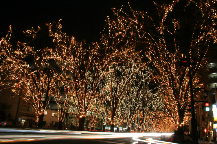 2011 SENDAI光のページェント　３　＠宮城県_f0048546_683325.jpg