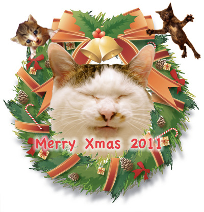 Merry Xmas 2011_a0028451_043750.jpg