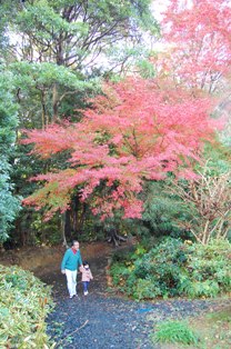ちょっとした旅　～紅葉編～_f0084452_13441790.jpg