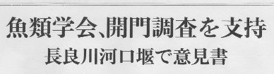 日本魚類学会 河口堰開門調査を支持_f0197754_20495148.jpg