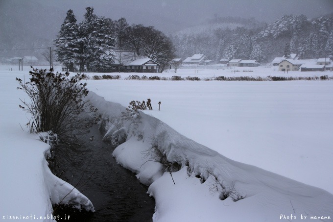 雪景色_f0147858_2028588.jpg