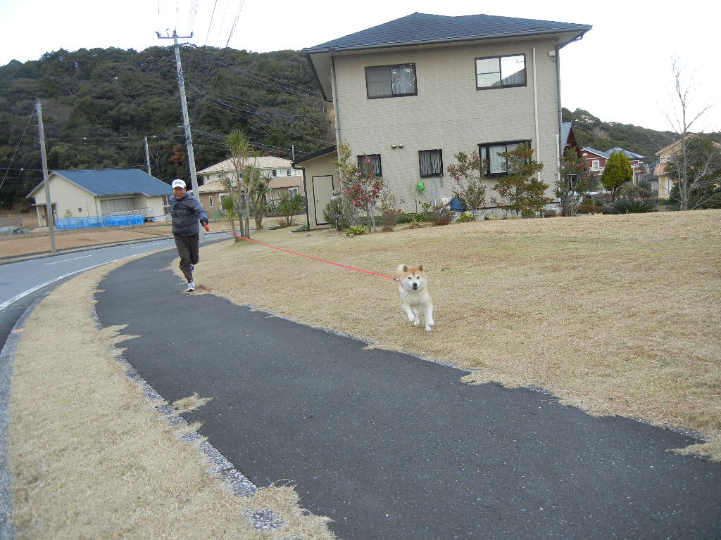 2011年12月26日(月)愛ちゃんと散歩にGO!_f0060461_19575523.jpg