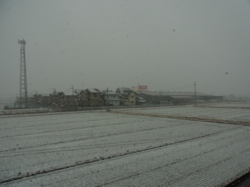 b0194267_21551928.jpg