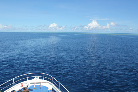 e0184067_5261296.jpg