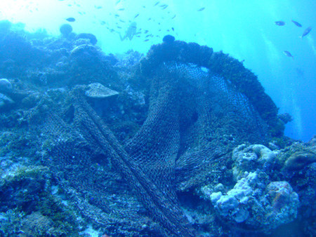e0184067_5273958.jpg