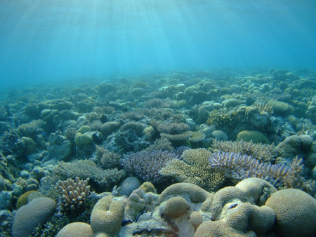 e0184067_5275091.jpg