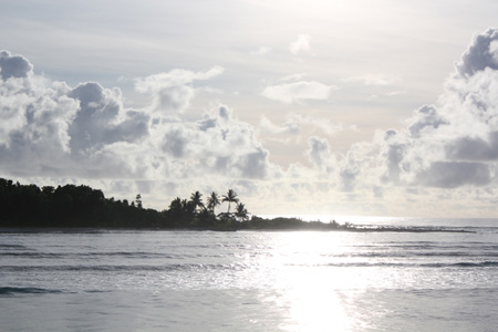 e0184067_5281155.jpg
