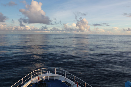 e0184067_528142.jpg
