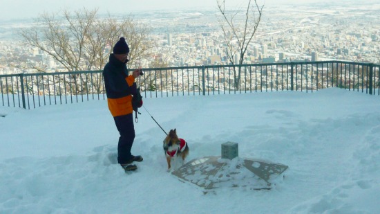 「甦った藻岩山」　２_e0122168_12152875.jpg