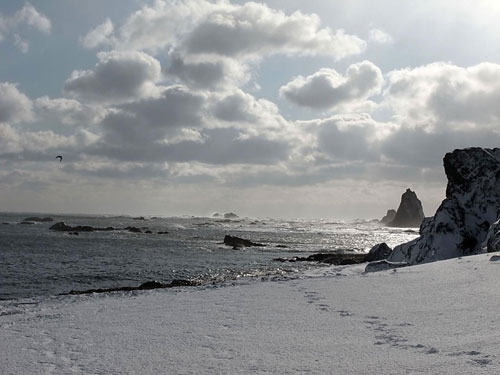 北海道岬巡り/襟裳岬その2_c0189970_14225128.jpg