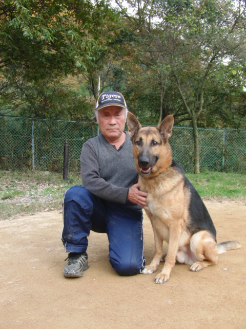 スタッフ紹介 宮西 仁 宮西愛犬警察犬訓練所のワンコ日記ฅ ﻌ ฅﾜﾝ