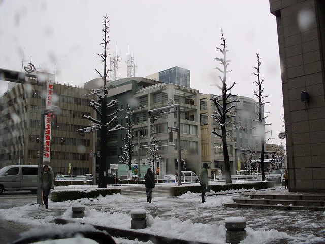 『野芥子の花と・・・・・』_d0054276_19525860.jpg