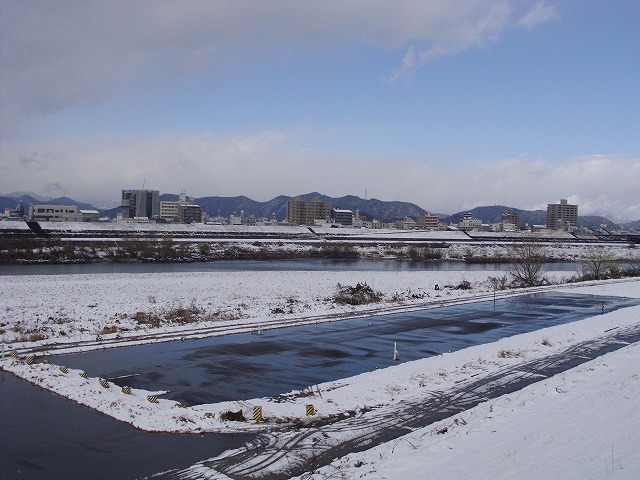 『野芥子の花と・・・・・』_d0054276_19532390.jpg